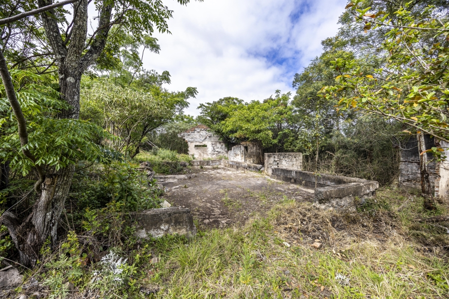 3 Bedroom Property for Sale in Summerpride Eastern Cape